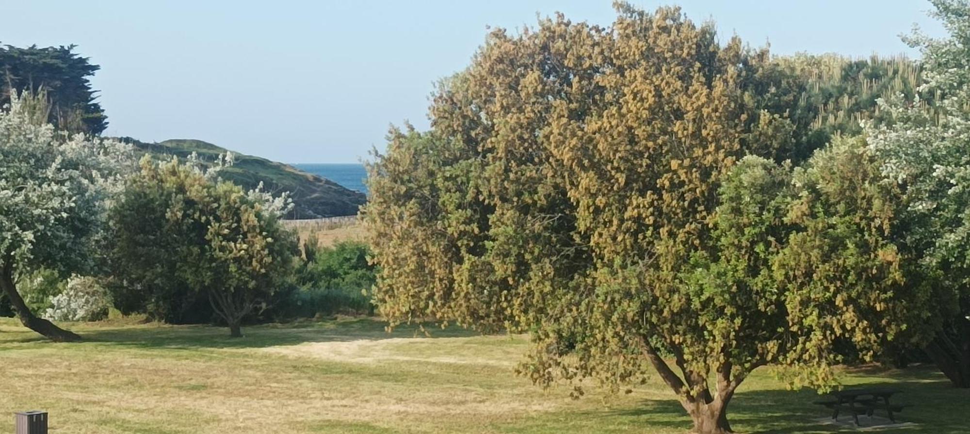 Appartement Vue Mer Exceptionnelle A 100M Tres Belle Plage Saint-Gildas-de-Rhuys Luaran gambar